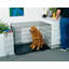 Caisse pour animaux-838702788