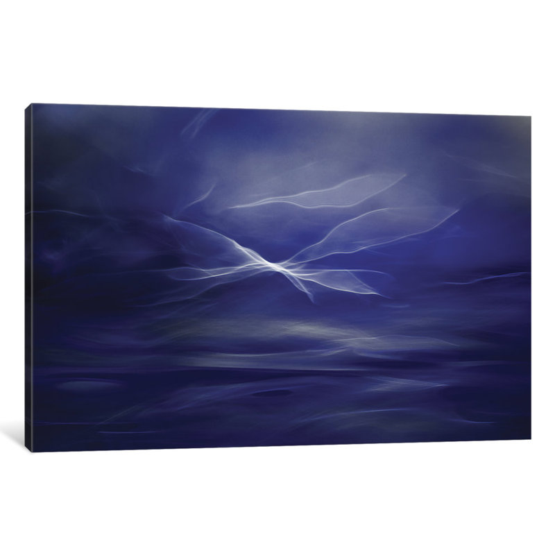 « flight of the fairs », impression sur toile tendue, H 26 po x l 40 po x P 1,5 po