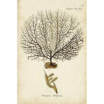 Esper Sea Fans VI -  Painting