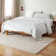 TOWN & COUNTRY EVERYDAY Cloud Shag Area Rug Beige