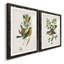 Oiseau antique, botanique et œuf I - ensemble de 2 reproductions d'art sur papier encadré-1329192742-1329192741