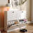 Self Standing Shoe Cabinet