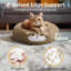 Lit pour chien Wallsend-1396754537-1396754550