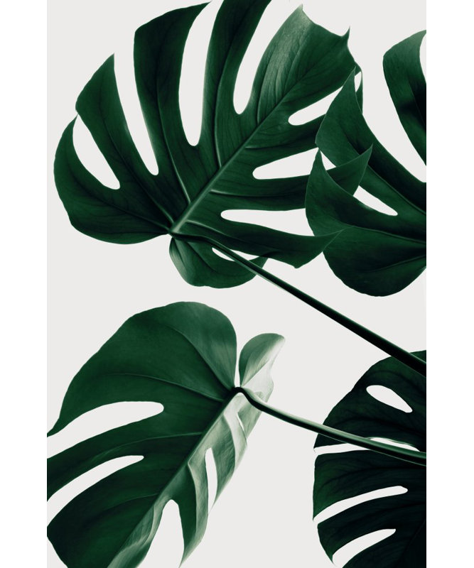 Wrapped Canvas Print, 76.2cm H x 50.8cm W