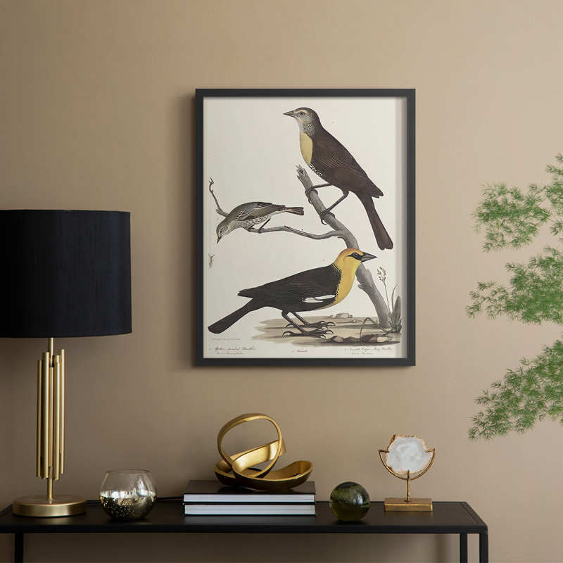 Vintage Animal Print XVIII Framed Print - Solid Wood, H 30 po x l 24 po, Noir, noir, noir, noir
