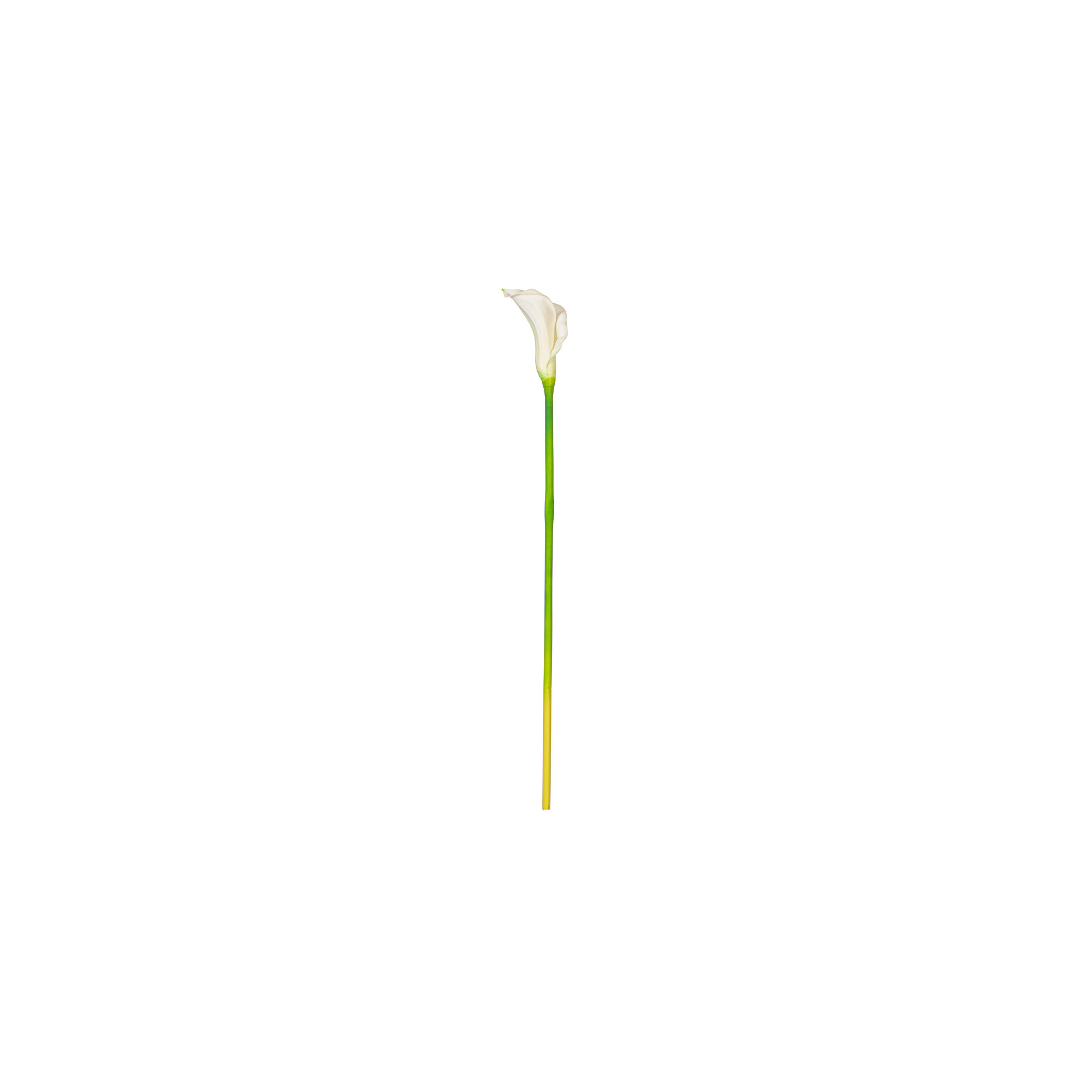 26" Artificial Calla Lily Stem, White, 26" H x 3" W x 3" D