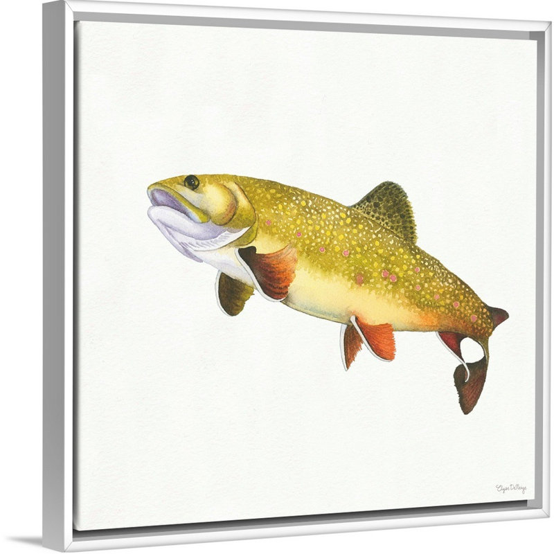 " Gone Fishin Brookie " Painting Print, White Floater Framed, 22" H x 22" W x 1.75" D