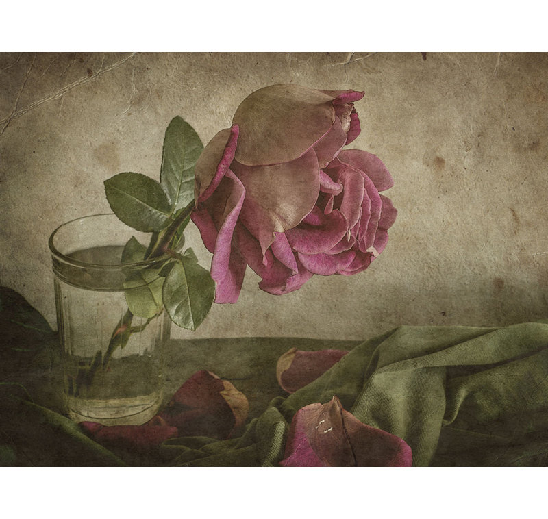 Wrapped Canvas Print, 60.96 cm H x 91.44 cm W