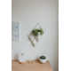 Trigg Wall Décor