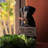 Dog Plastic Garden Statue