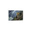 No Frame Print on Canvas