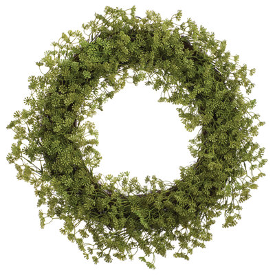 Couronne de sédiment 25 po