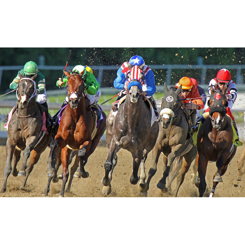 Art sur toile Fury of the Racetrack - Dynamic Horse Racing, H 24 po x l 40 po