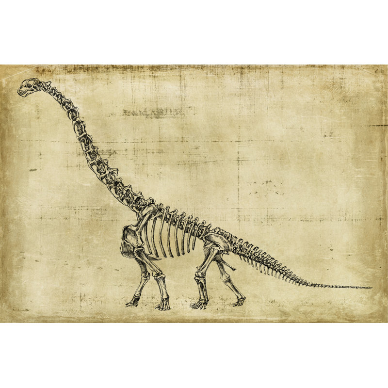 Brachiosaurus Study by Ethan Harper - Wrapped Canvas Print, 30cm H x 46cm W