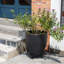 Support pour plante Thyrwi-1231637632