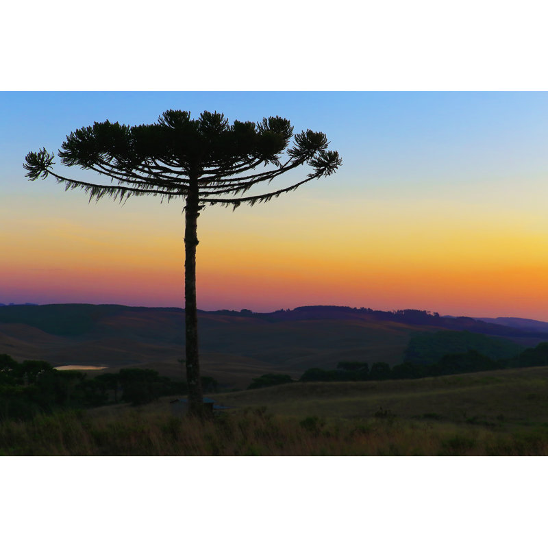 Ldyllic Landscape by Agustavop - Wrapped Canvas Print, 61cm H x 91cm W x 3.8cm D