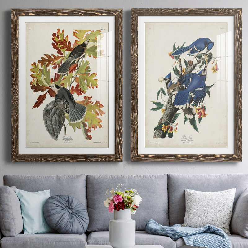 " Pl 107 Canada Jay " 2 - Pieces, Walnut Framed, 23.5" H x 31.5" W x 1" D