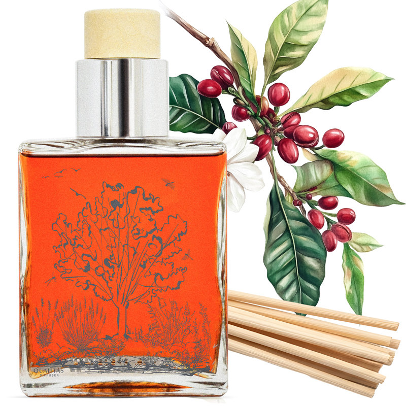 Diffuseur de roseau parfumé espresso