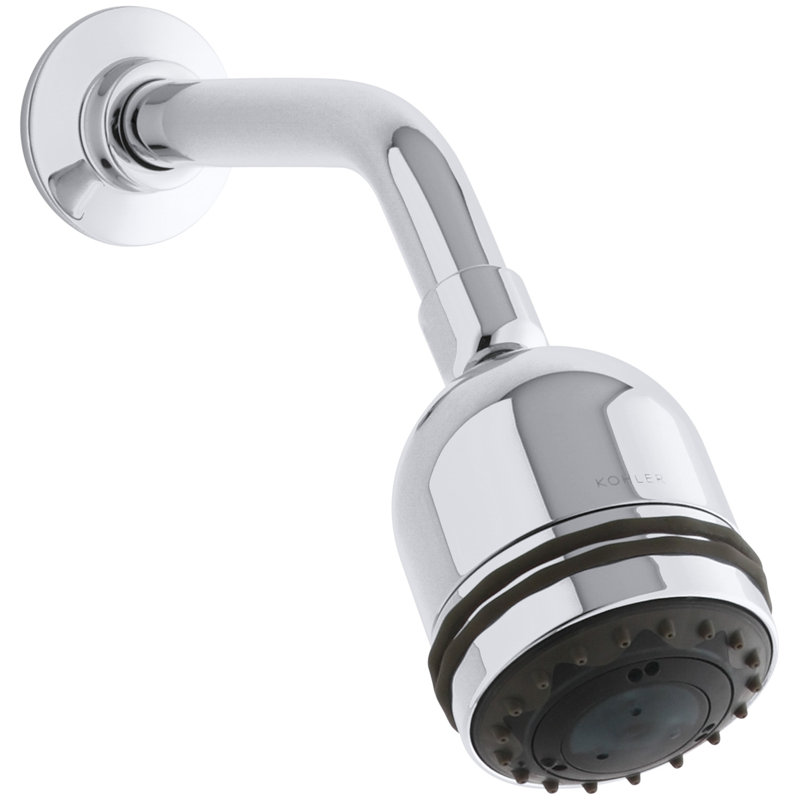 Pomme de douche à 3 voies à fixation murale avec palmier 2,5 gpm multifunction Mastershower, Chrome poli