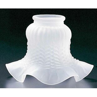 4.25" H Glass Novelty Pendant Shade ( Screw On ) in White