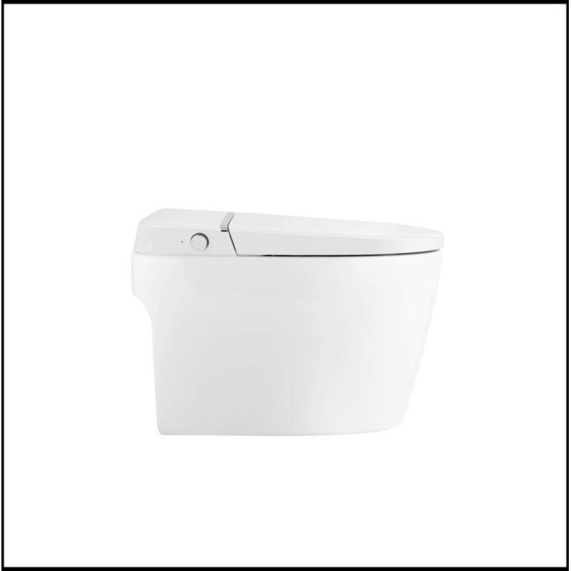White Ceramic Smart Toilet Bidet Combo with Heated Seat and Remote Control