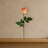 Rose Bud Artificial Flower-623892840-623892844