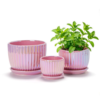 Ensemble de 3 pots à fleurs en céramique avec trou de drainage et soucoupe, pots de plantes d'intérieur côtelés faits à la main roses