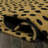 Daphne Modern Classic Animal-Spot Bordered Coir Natural/Black Indoor/Outdoor Doormat-1179546035