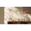 USA250 Capitol Collectible 5in