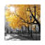 Park Pretty by Amanda J. Brooks - Print on Canvas-300013459-276442821