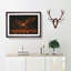 Flying Owl at Dusk - Picture Frame Graphic Art Print-56713663-56713664