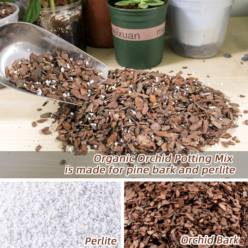 CJGQ Orchid Bark Potting Mix - Natural Orchid Potting Mix For Repotting,  Blended With Small Pine Bark And Perlite To Provide Ideal Ventilation And  Good Drainage For Orchids And Other Potted Plants |