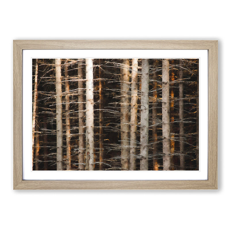 Bare Trees - Picture Frame Painting, Oak Framed, 48cm H x 65cm W x 2cm D