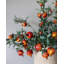 Faux Branch