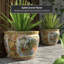 Satsuma Porcelain Fishbowl Urns & Jars-1185673003