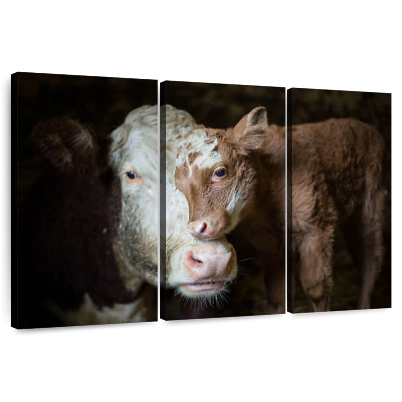 Bébé vache câlin Brampt, H 36 po x l 57 po