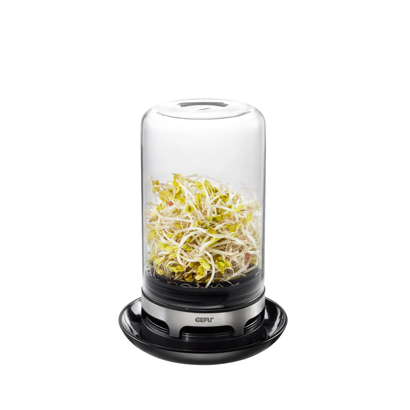 Sprouting Jar - Bivita