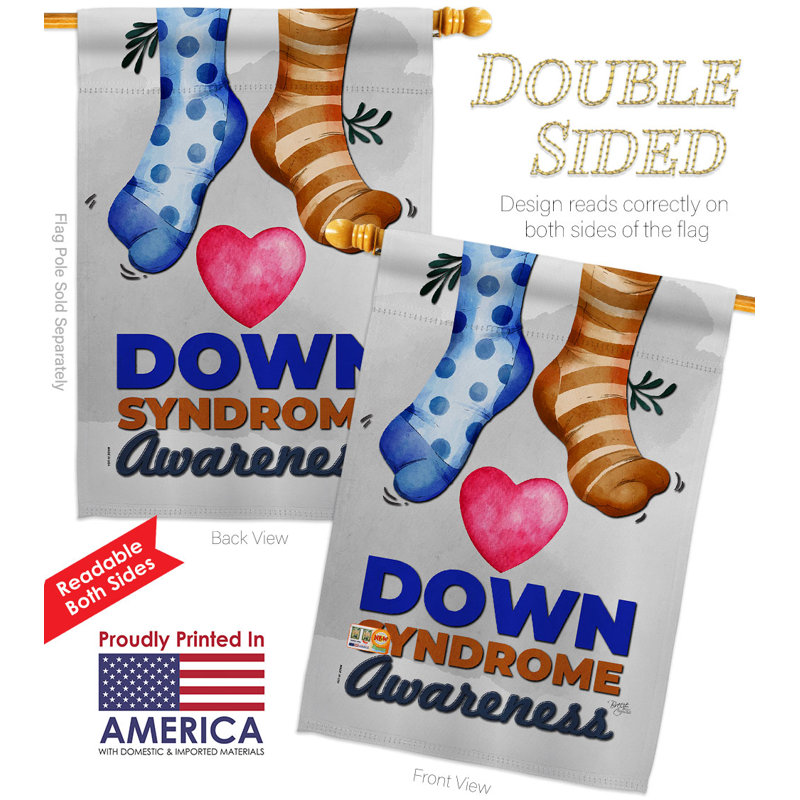 Drapeau de maison en polyester 40 x 28 po Down