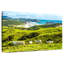 Mouton Alvord Southern Island-108155488