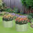 Muffin 16.7" Tall Metal Raised Garden Bed-75187772