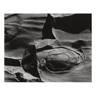 Shore Acres State Park Oregon by Minor White - Giclee Print