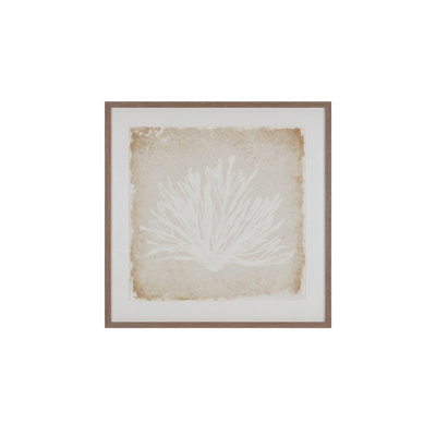 Aquatic Flora I Print