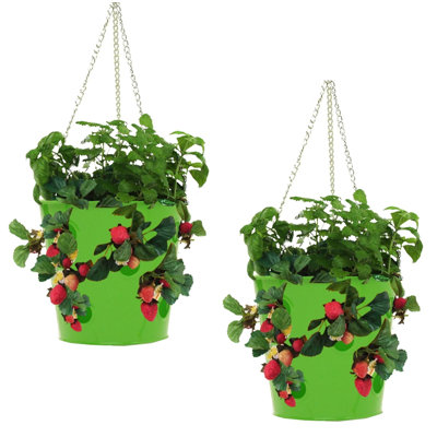Inverleigh Metal Hanging Planter