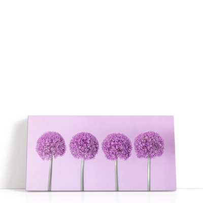 Allium fleurs - reproduction d'art sur toile