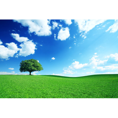 Dramatic Blue Sky and Meadow by Konradlew