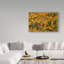 «Vermonts Glory» par Brenda Petrella - reproduction de photo sur toile-31974324