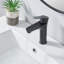 Robinet de salle de bain un trou noir mat Tayanuc, robinet de meuble-lavabo en acier inoxydable à poignée simple pour lavabo de salle de bain avec tuyaux d'alimentation en eau