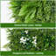 Plant-1130021880-1130021876