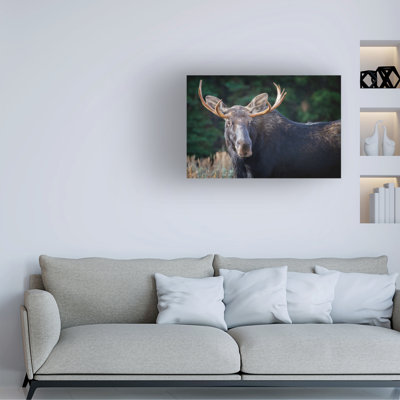 Art mural sur toile tendue - Rick Berk «Bull Moose», décoration murale pour le salon, la chambre à coucher ou le bureau - 16 x 24