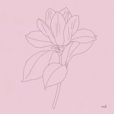 Magnolia dessin au trait rose